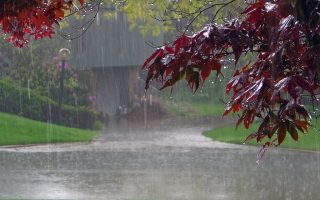 Repartitia cantitatilor medii de precipitatii